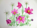 Pasque Flower watercolour painting
