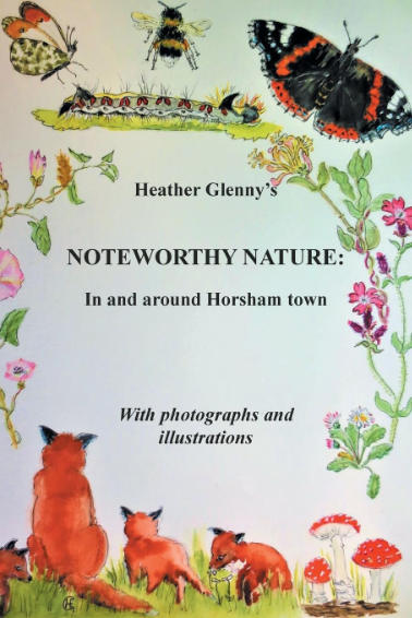 Noteworthy Nature Book Cover Artwork